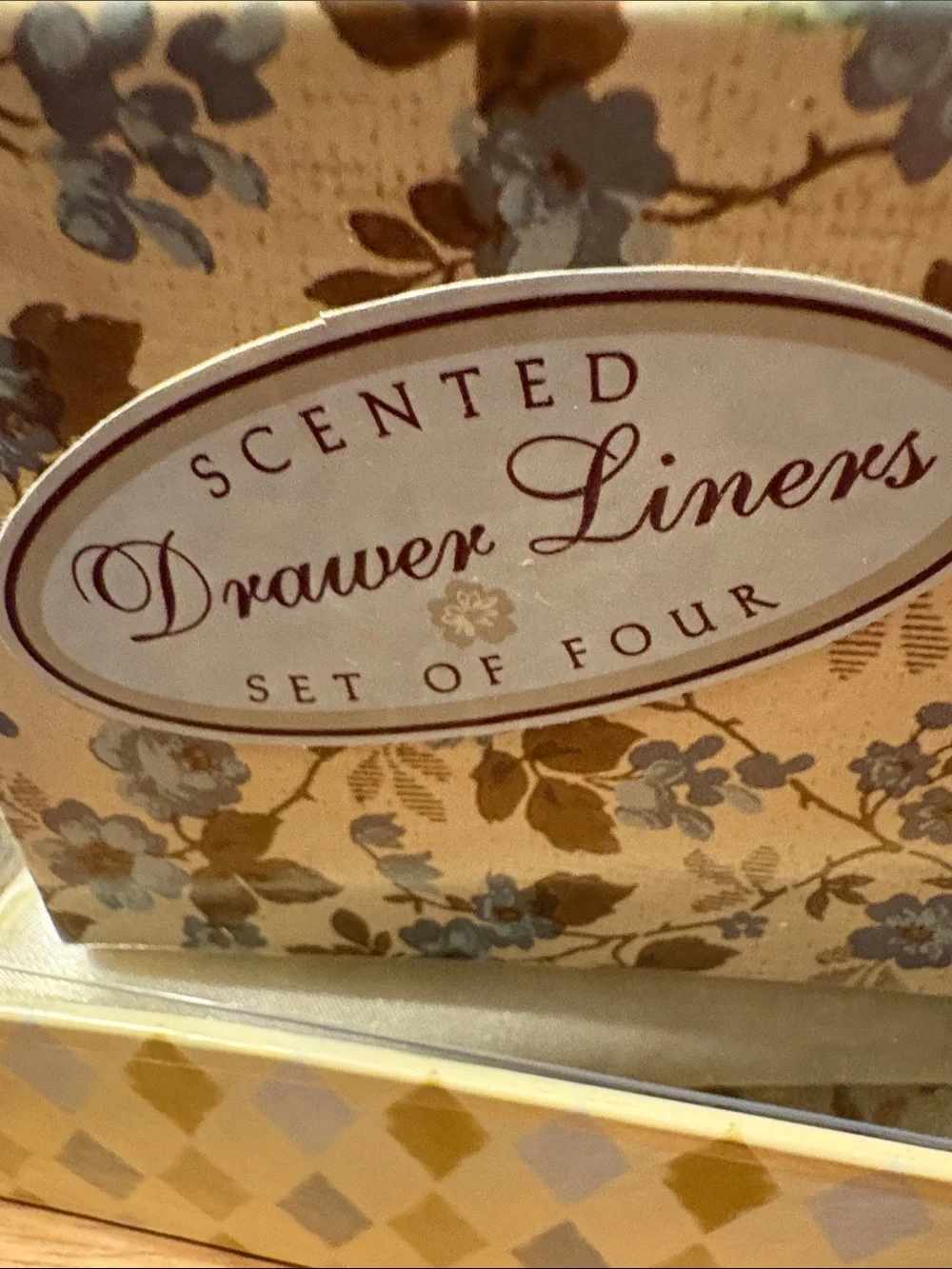 Silk-Covered Padded Hangers in Ivory – Elegant Home Accents